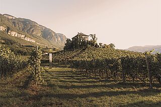 Baron Longo Weingut