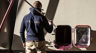 Weinproduktion, Maische, Weingut Ornellaia