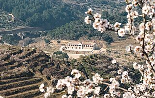 Weinber des Weinguts Bodegas Mas Alta