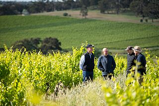 Die Winzer stehen auf dem Weinfeld und unterhalten sich
