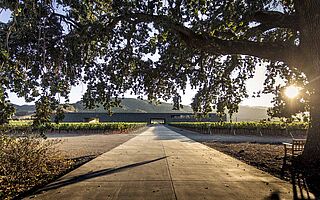 Der Weg zum Weingut