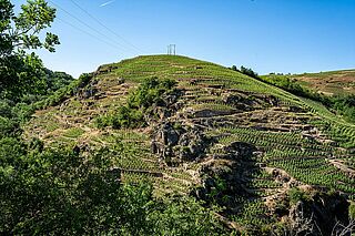 Levet Weingut