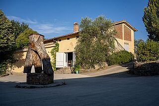 Weingut Montenidoli