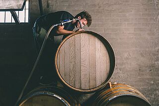Arbeit am Weinfass bei Michelini i Muffato Mendoza