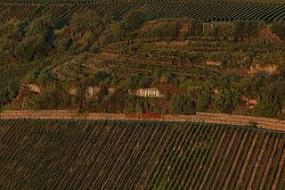 Weingut Kissinger Bähr