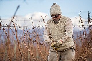 Mendoza Weinanbau Mendoza Weinanbau