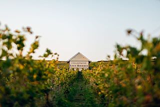 Weingut Roederer
