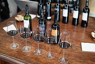 Weinverkostung auf dem Weingut Carmenere