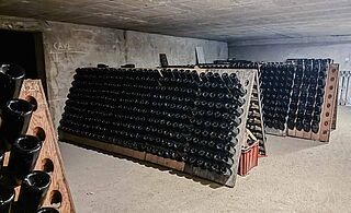 Keller beim Weingut