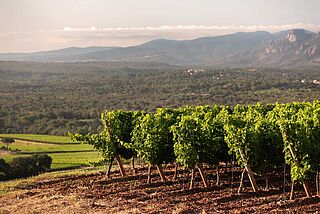 Chateau d’Esclans