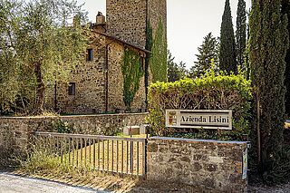 Lisini Weingut