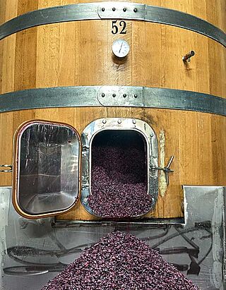 Maische und Weinfass des Weinguts Bodega Cerron
