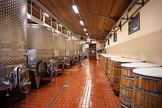 Weinkeller und Weinfaesser des Weinguts Grattamacco Weinkeller und Weinfaesser des Weinguts Grattamacco