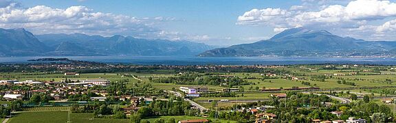 Weinfelder vor dem Gardasee