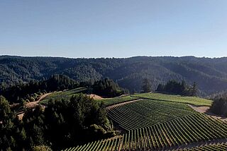 Weinfeld, Weinlandschaft La Crema