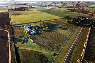 Eastern Peake Winery