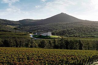 Das Weingut am Berg