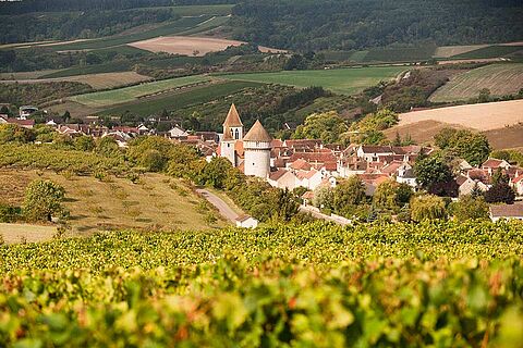 Weinfeld Cave de Bailly mit einer Stadt im Hintergrund