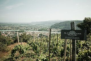 Chapoutier Weinberge