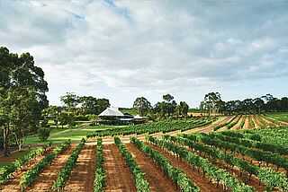 Weingut Vasse Felix