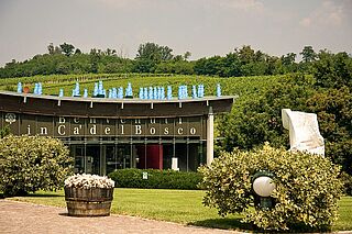 Ca' del Bosco Weingut