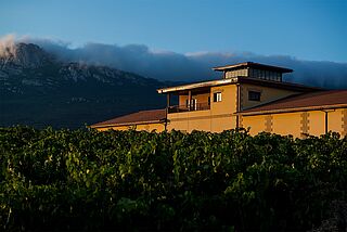 Weingut von Pujanza