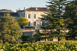 Weingut