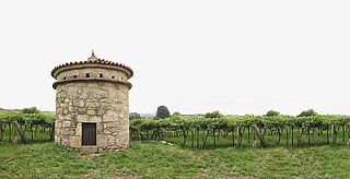 Steinturm auf dem Weinfeld Zarate