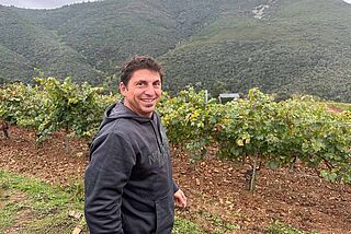 Bodegas Mengoba