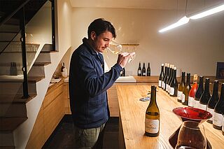 Michel Tardieu