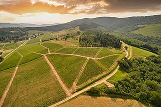 Weingut Chateau de la Chaize