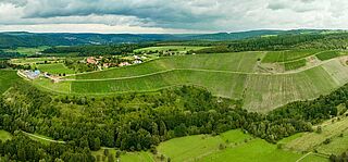 Weinberge bei der Domäne Serrig