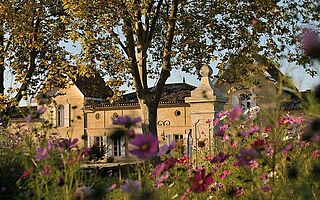 Weingut Jean Faure