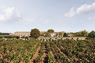 Weingut Famille Perrin bei blauem Himmel