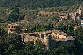 Castello della Sala, Weinberge