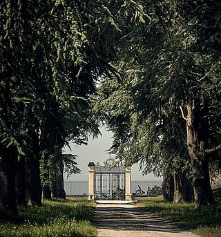 Weg zum Chateau