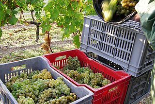 Chateau Rahoul
