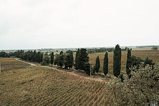 Caccia al Piano