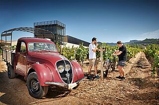 Santa Duc Weingut