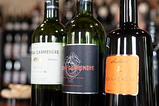 Weinauswahl des Weinguts Carmenere
