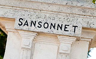 Sansonnet