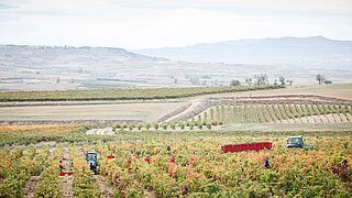 Rioja oriental