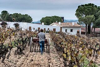Weingut Raventos i Blanc