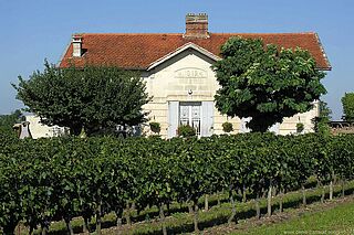 Das Weingut Les Gravieres