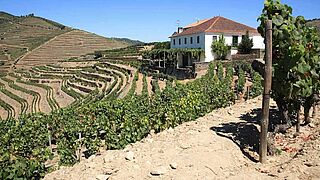 Miraval Weingut