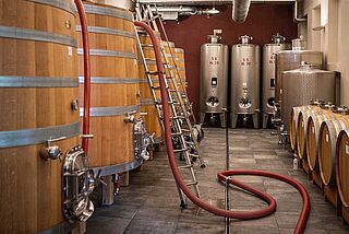 Weinkeller vom Weingut Bruno Giacosa