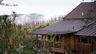 Weingut Ridge