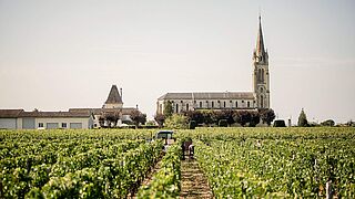 Weingut in Pomerol