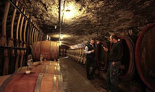 Im Weinkeller beim Weingut Künstler