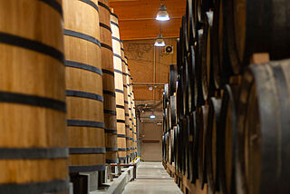 Weinkeller und Weinfaesser Chartreuse